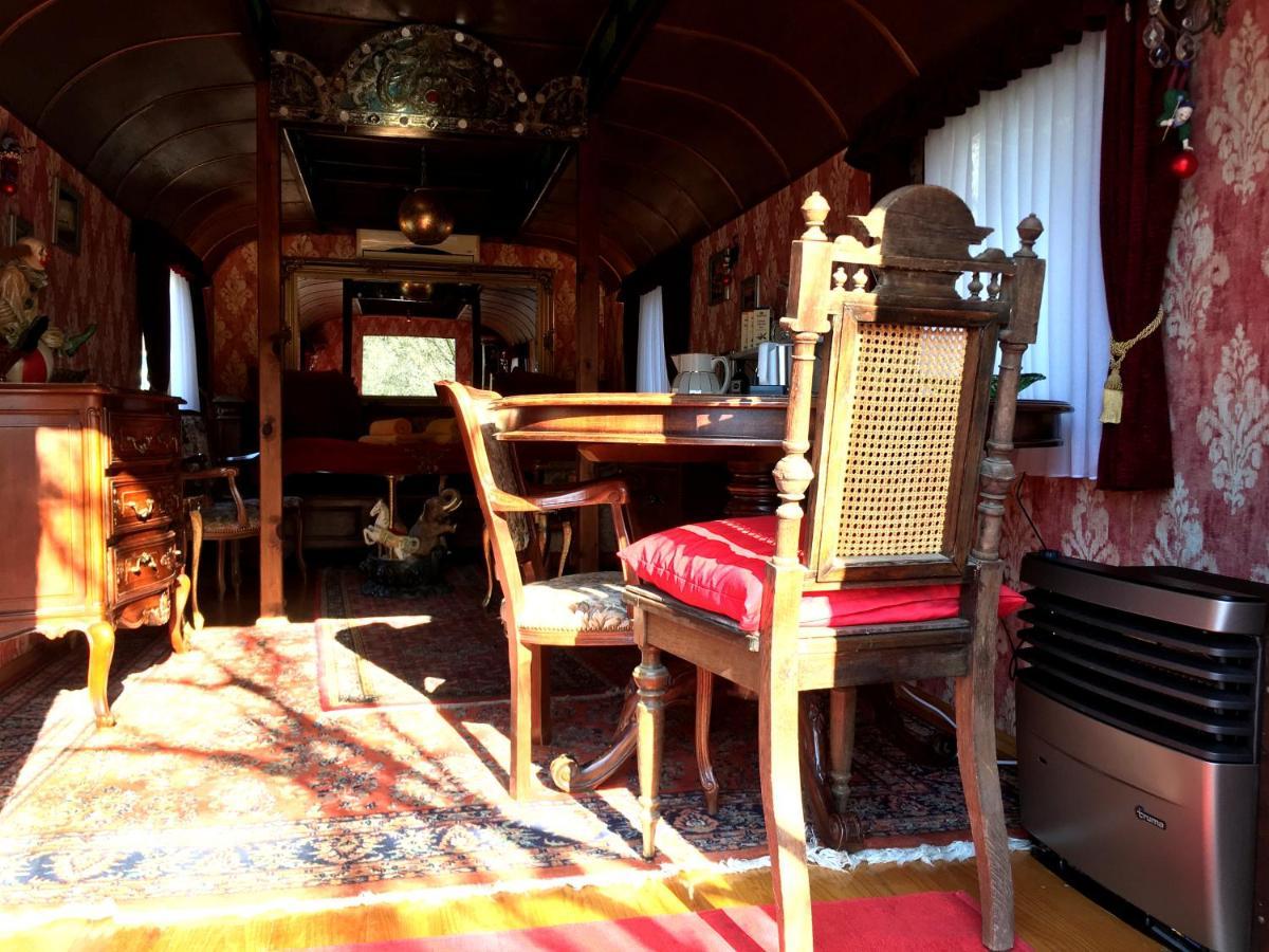 Historischer Zirkuswagen Mit Terrasse Und Blick Ins Gruene 维岑豪森 外观 照片