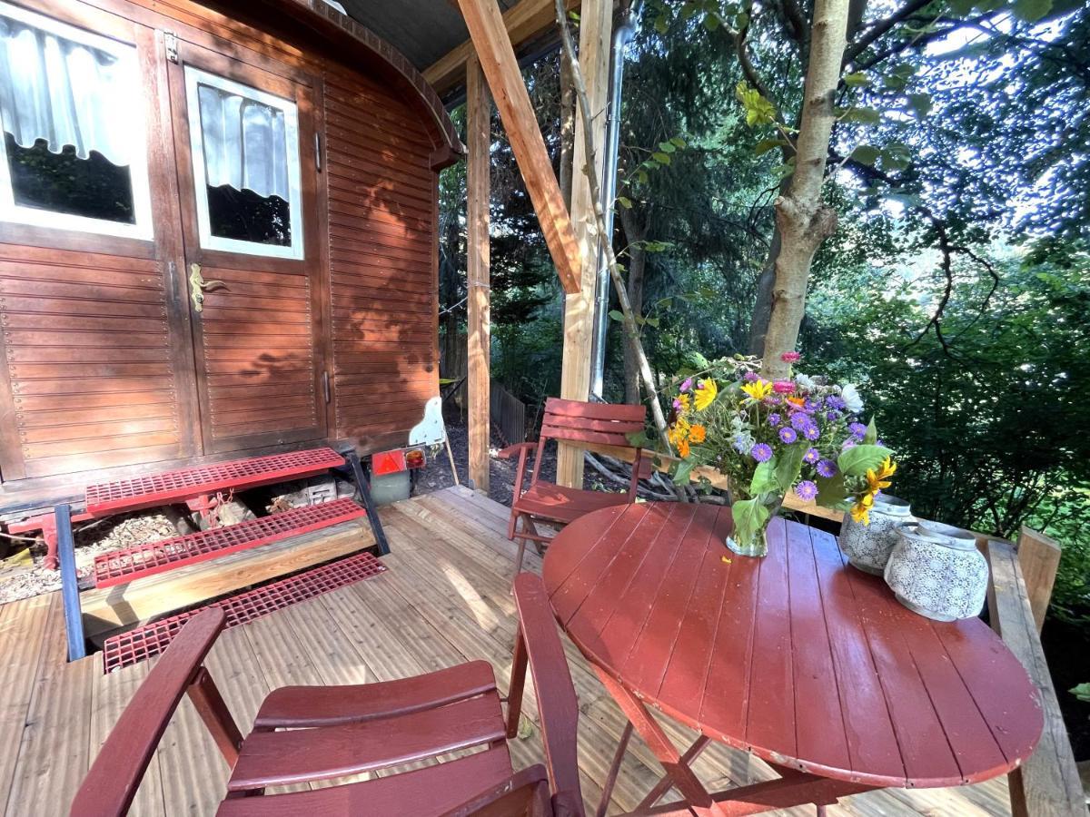 Historischer Zirkuswagen Mit Terrasse Und Blick Ins Gruene 维岑豪森 外观 照片